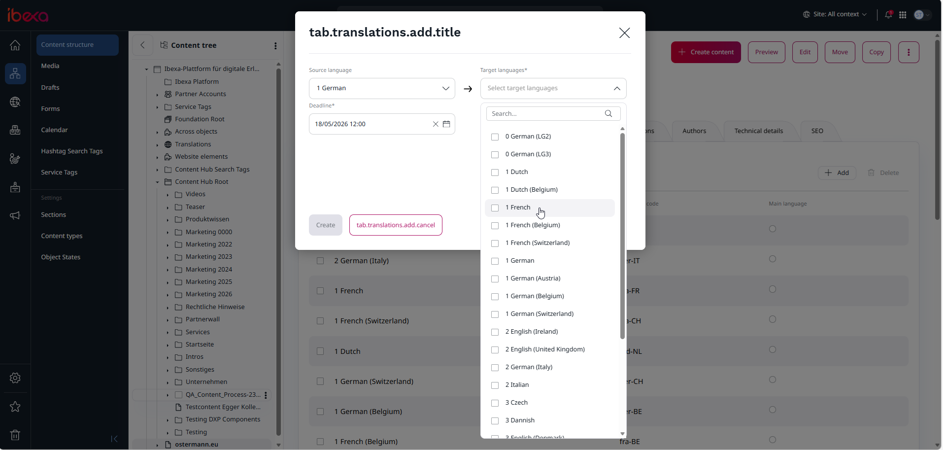 Ibexa_translationprocess.png